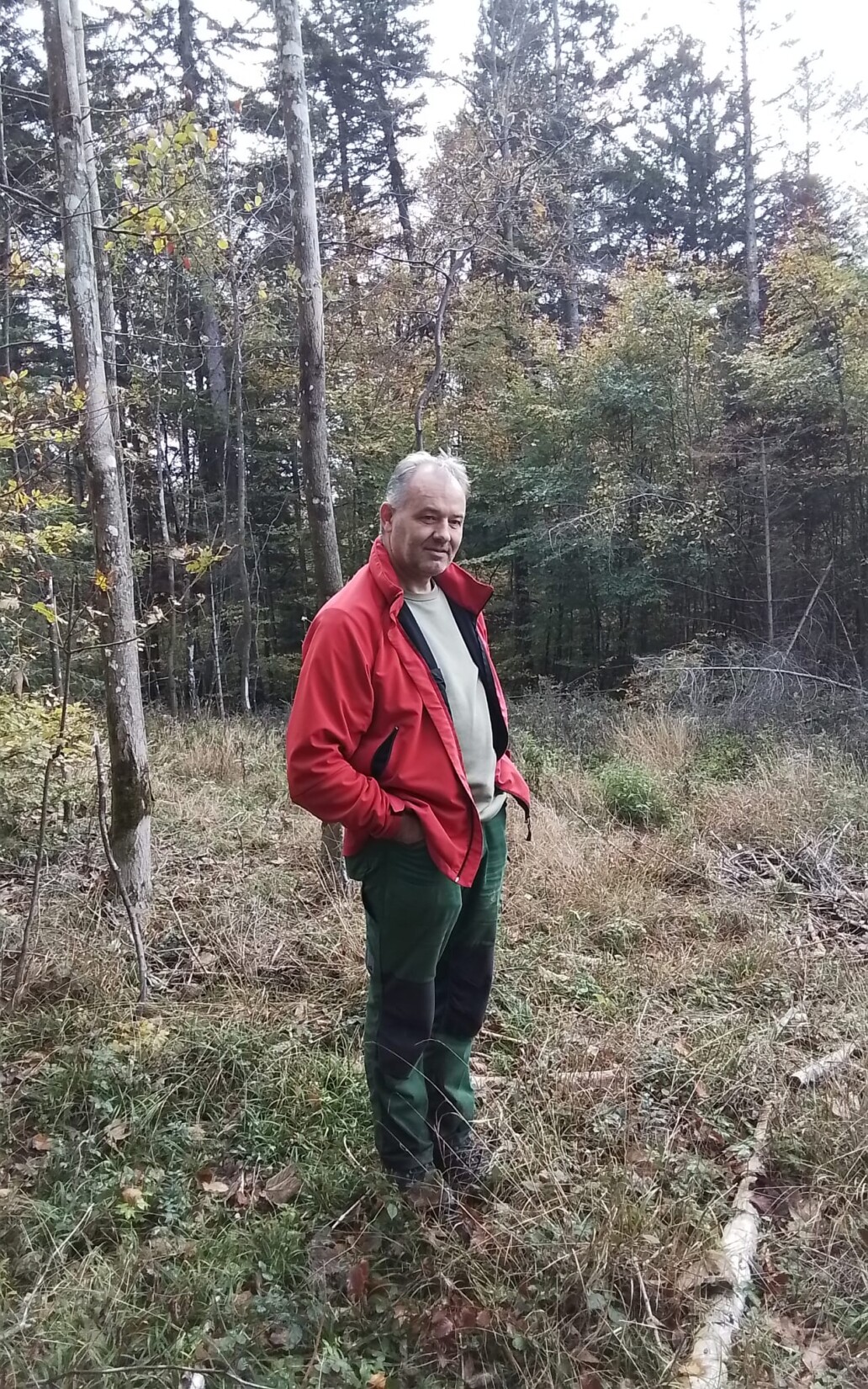 Mit Elsbeere, Speierling, Wildapfel und Wildbirne gegen die Trockenheit
