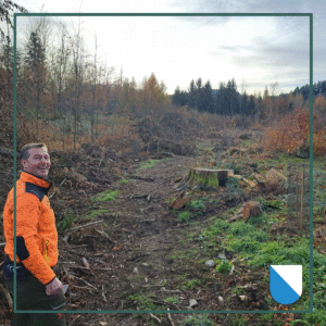 Artenvielfalt durch Spitzahorn