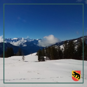 Hoch über Interlaken am Beatenberg