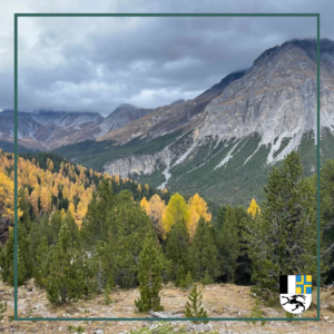 Jungen Esskastanien und Feldbäume im Bergell