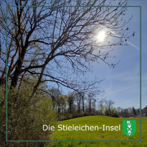 Biodiversität mit Kultstatus