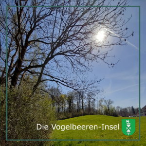 Biodiversität mit Kultstatus