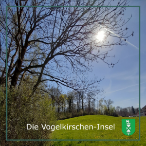 Biodiversität mit Kultstatus