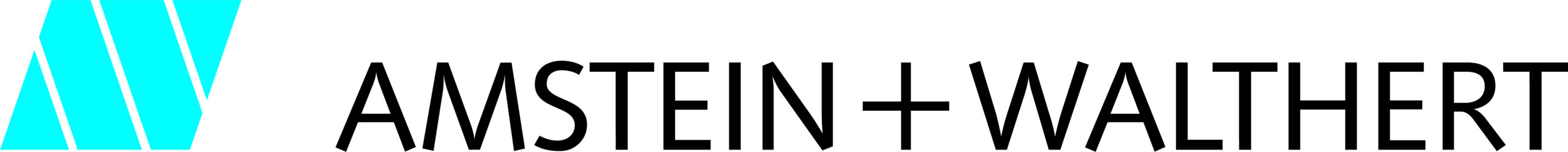 Sponsor Image